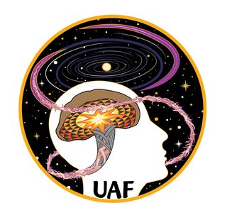 Universal Awareness Fellowship